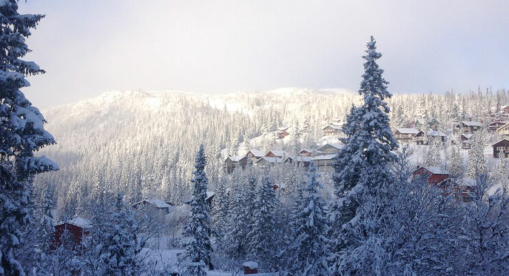 Vinter i Vemdalsskalet, foto på hus och träd