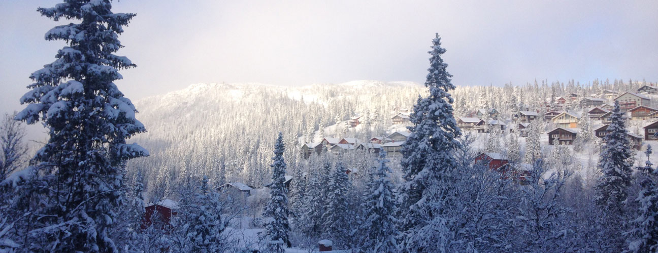 Vinter i Vemdalsskalet, foto på hus och träd