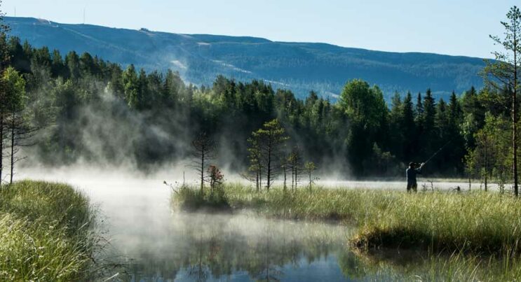 Man som fiskar i en fjälltjärn med dimma.