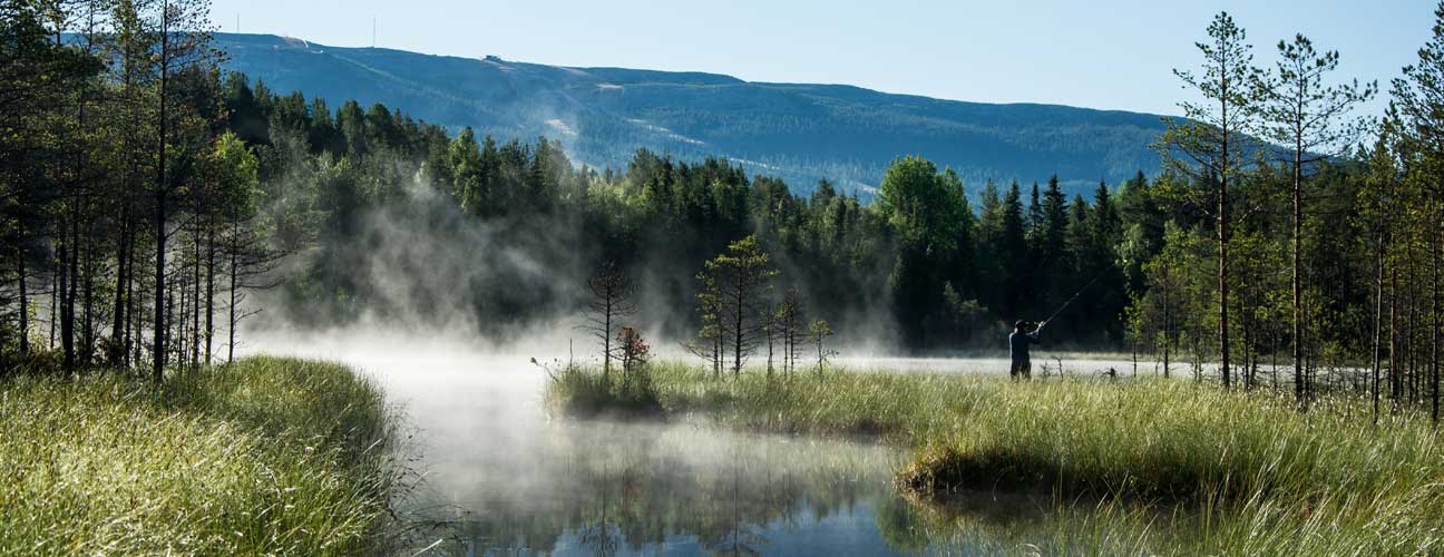 Man som fiskar i en fjälltjärn med dimma.