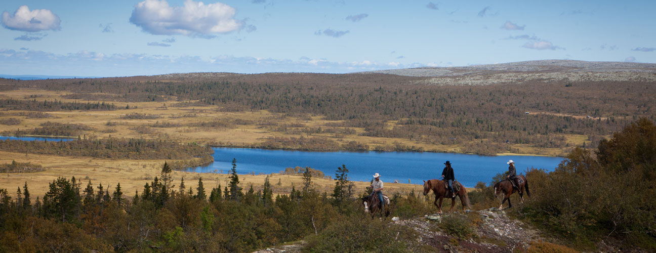 Fjällritt uppe vid Oxsjön i Vemdalen