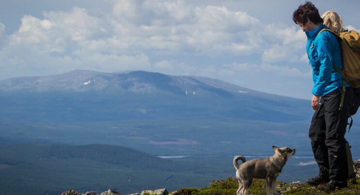 Fjällvandrare i Vemdalen med Hund och fantastisk utsikt över fjällen