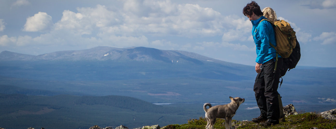 Fjällvandrare i Vemdalen med Hund och fantastisk utsikt över fjällen