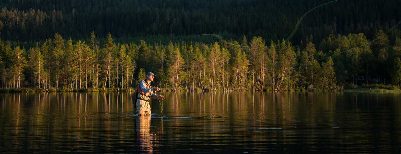 Man som flugfiskar i en sjö omgiven av granskog.