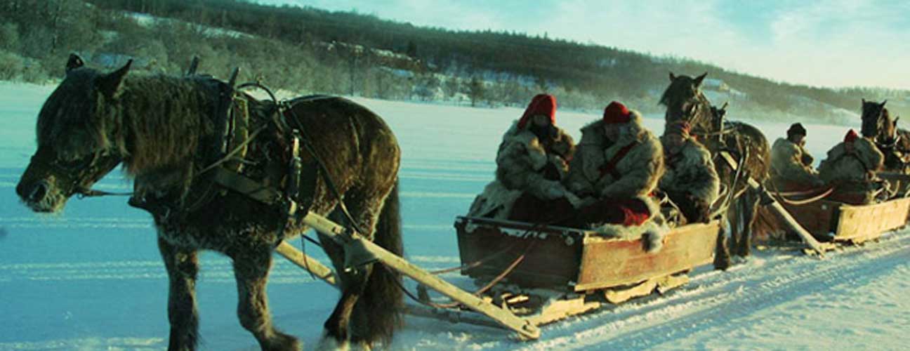 Forbönder åker häst och släde till Röros markans.