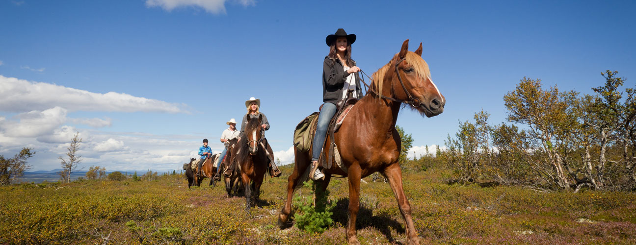 Ridtur med Trumvallens Fjällridning