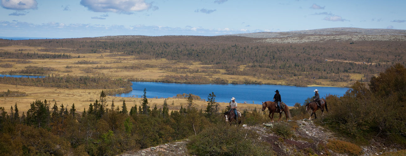 Ridning vid Oxsjön med Trumvallens Fjälllridning