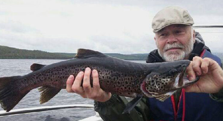 Öring på 2,5 kg som Ekbergs Fiske & Fritid dragit upp