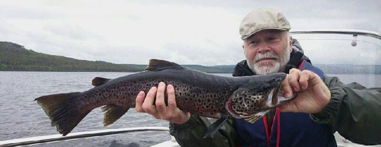 Öring på 2,5 kg som Ekbergs Fiske & Fritid dragit upp