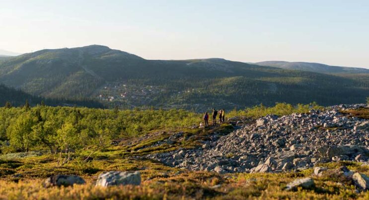 Familj ute och vandrar i fjällen under sommaren