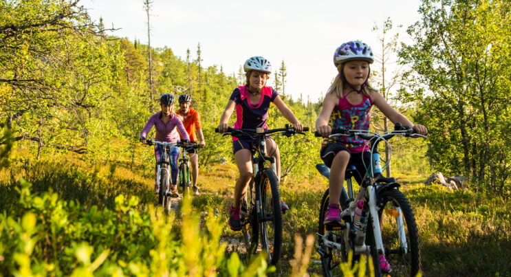 Familj cyklar MTB mountainbike i Vemdalen under sommaren