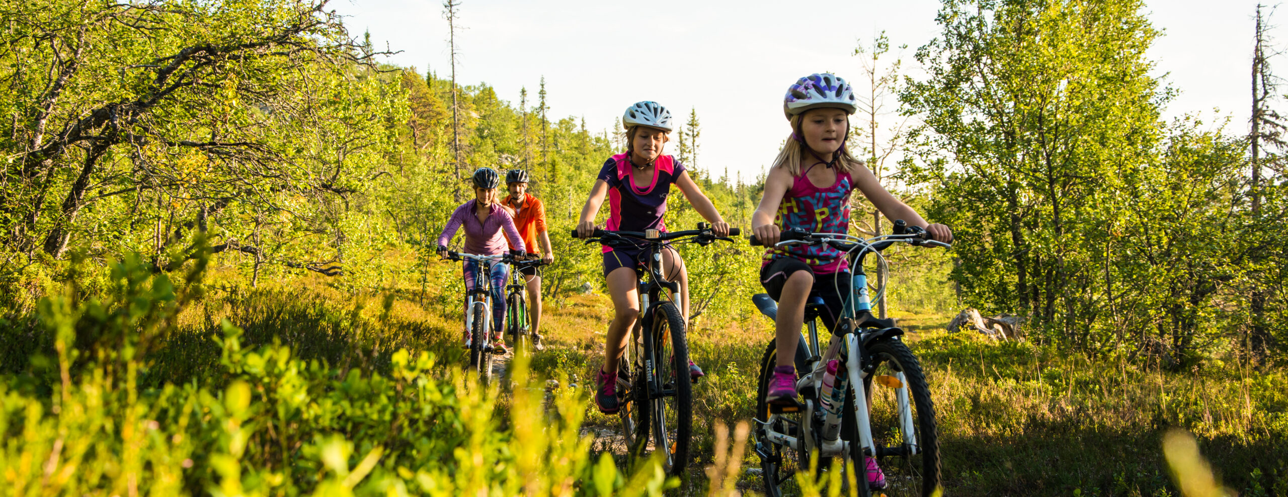 Familj cyklar MTB mountainbike i Vemdalen under sommaren