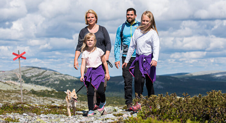 Familj med liten hund som är på topptur. Somrig fjällvärld och ledkryss i bakgrunden