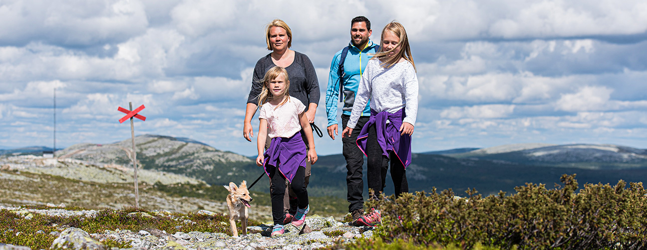 Familj med liten hund som är på topptur. Somrig fjällvärld och ledkryss i bakgrunden