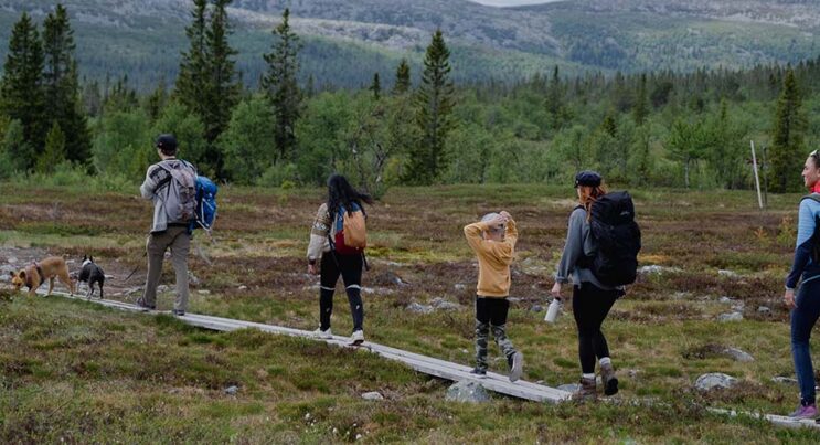 Familj fjällvandrar längs en spång i Storhogna