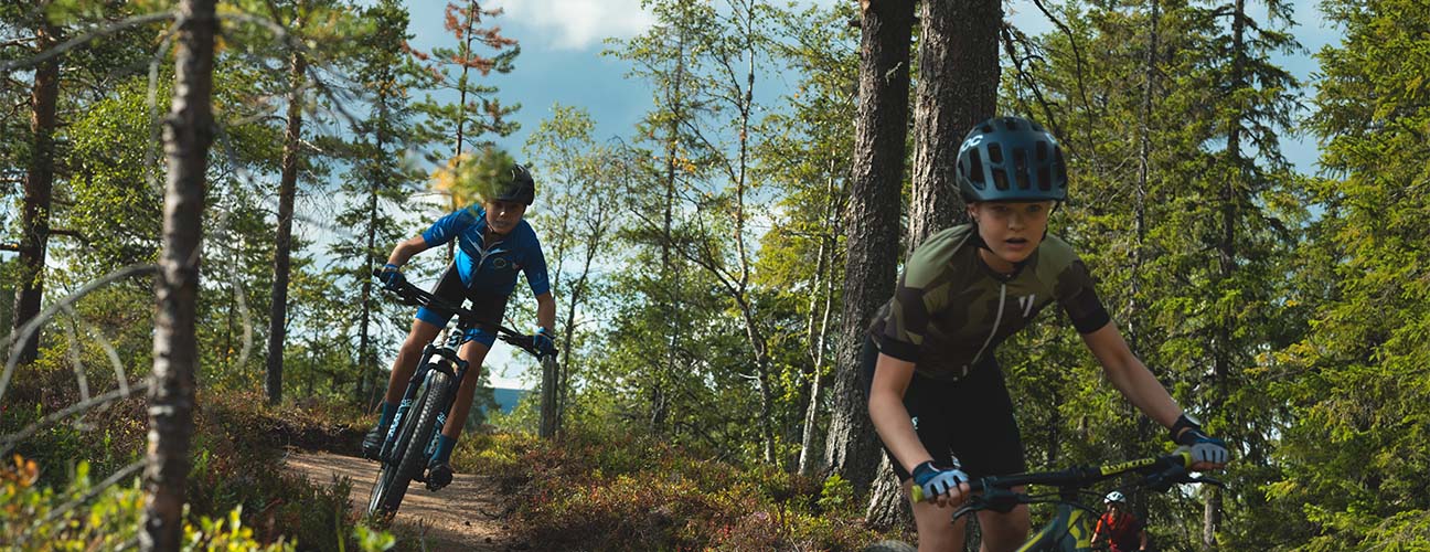 Två killar som cyklar trail i skogen