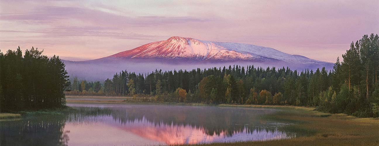 Stort fjäll med snöklädd topp reser sig bland träd och dimma